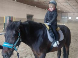 46270922310068052679140881436023245457281558n